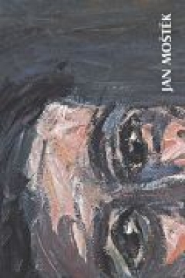 Obrázek pro kolektiv - Jan Moštěk (katalog)