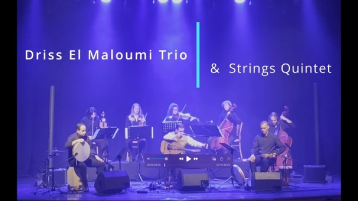 Obrázek pro Maloumi Driss El Trio & Watar Quintet - Details (LP)