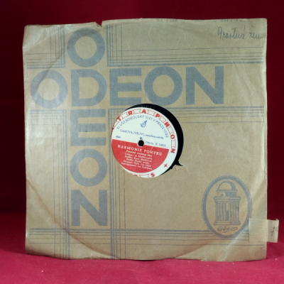 Obrázek pro Matějovec Karel - XI. Všesokolský slet v Praze 1948, harmonie pohybu V.