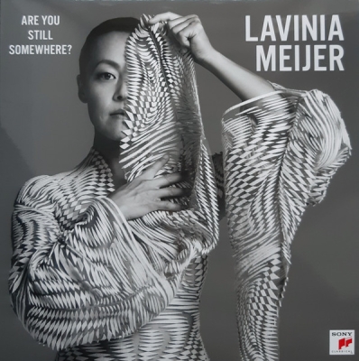 Obrázek pro Meijer Lavinia - Are You Still Somewhere? (LP)