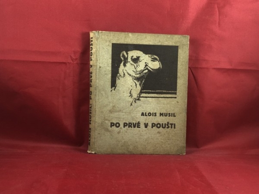 Obrázek pro Musil Alois - Po prvé v poušti