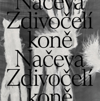 Obrázek pro Načeva - Zdivočelí koně (LP) - stříbrný vinyl, 2. press