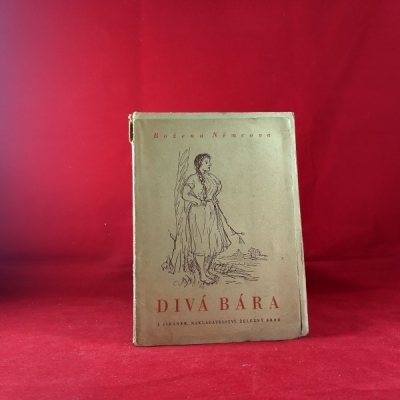 Obrázek pro Němcová Božena - Divá Bára