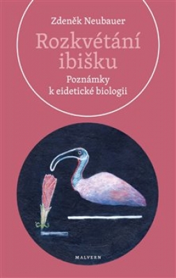 Obrázek pro Neubauer Zdeněk - Rozkvétání ibišku
