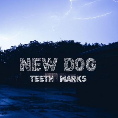Obrázek pro New Dog - Teeth Marks (LP)