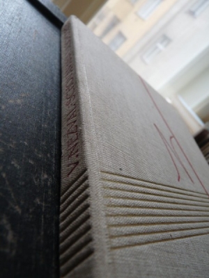 Obrázek pro Nezval V. - Schovávaná na schodech