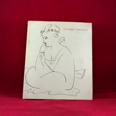 Obrázek pro Picasso - Grafika