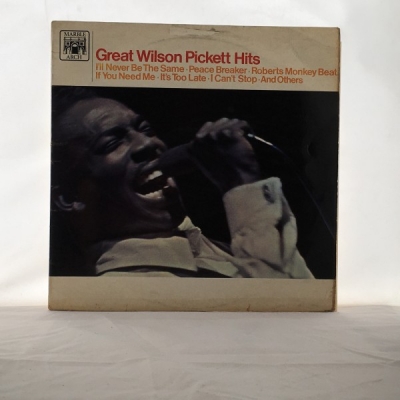 Obrázek pro Pickett Wilson - Great Wilson Pickett Hits
