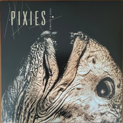 Obrázek pro Pixies - Complete B Sides (2LP Green)