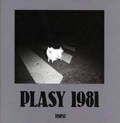 Obrázek pro Plasy - Plasy 1981