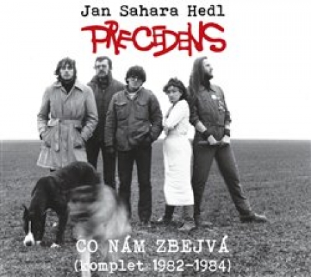 Obrázek pro Precedens - Co nám zbejvá (2CD)