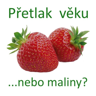 Obrázek pro Přetlak věku - ...nebo maliny (texty a download kód)