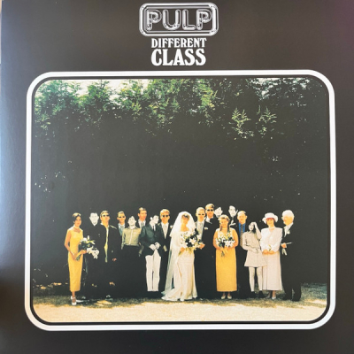 Obrázek pro Pulp - Different Class (LP)