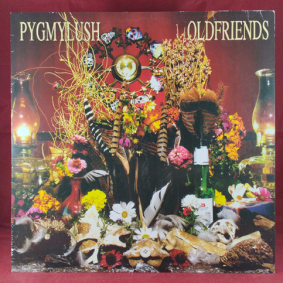 Obrázek pro Pyg Mylush - Old friends