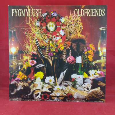 Obrázek pro Pyg Mylush - Old friends