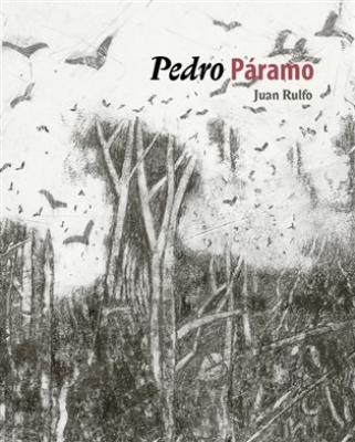 Obrázek pro Rulfo Juan - Pedro Páramo