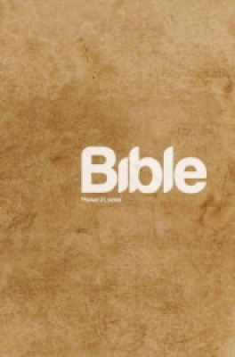 Obrázek pro různí autoři - Bible. Překlad 21. století (PAPERBACK)