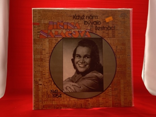 Obrázek pro Salačová Jiřina - Když nám bývalo šestnáct