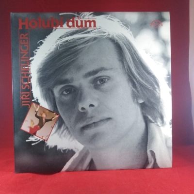 Obrázek pro Schelinger Jiří - Holubí dům