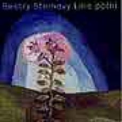 Obrázek pro Sestry Steinovy - Lilie polní