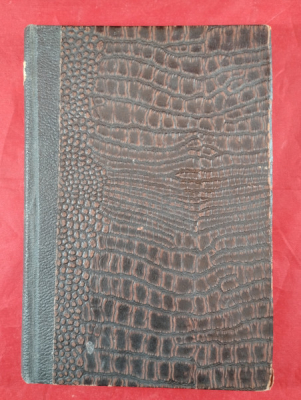 Obrázek pro Siebenschein Hugi, Muir Edwin, Demetz Petr - Franz Kafka a Praha