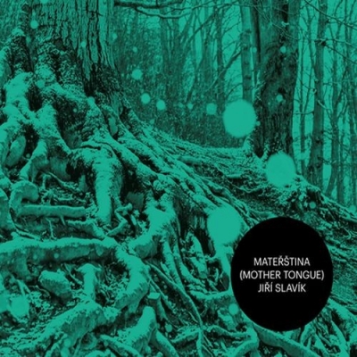 Obrázek pro Slavík Jiří - Mateřština