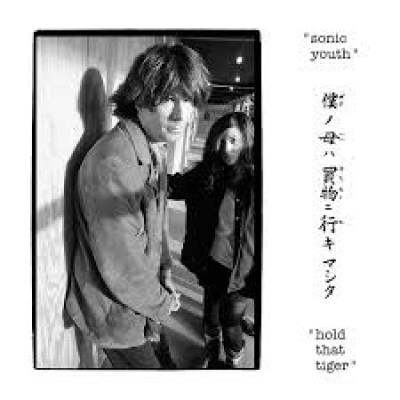 Obrázek pro Sonic Youth - Hold That Tiger (2LP)