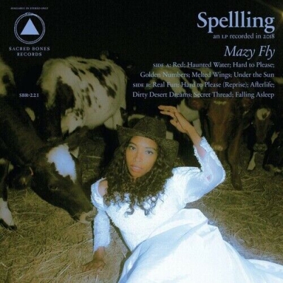 Obrázek pro Spelling - Mazy Fly (LP)