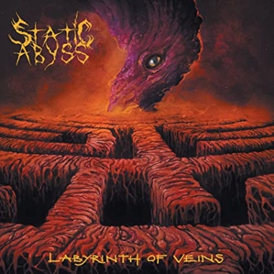 Obrázek pro Static Abyss - Labyrinth of Veins (LP)