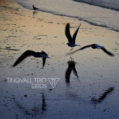 Obrázek pro Tingvall Trio - Birds (LP)