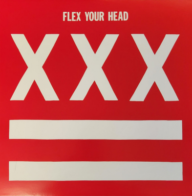 Obrázek pro Various - FLEX YOUR HEAD (LP)