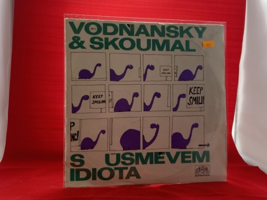Obrázek pro Vodňanský a Skoumal - S úsměvem idiota