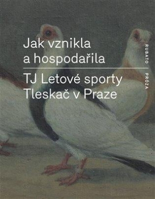 Obrázek pro Vohralík, Kripner, Štaidl, Ten - Jak vznikla a hospodařila. TJ Letové sporty Tleskač v Praze