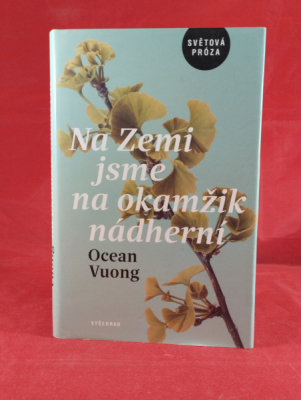 Obrázek pro Vuong Ocean - Na zemi jsme na okamžik nádherní