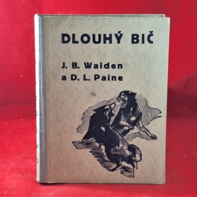 Obrázek pro Walden J.B., Paine D.L. - Dlouhý bič