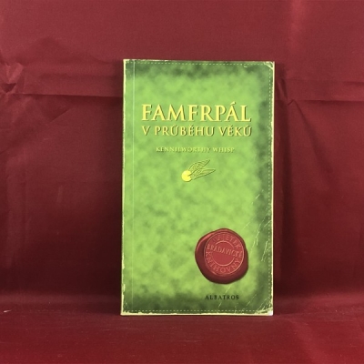 Obrázek pro Whisp Kennilworthy - Famfrpál v průběhu věků