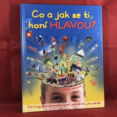 Obrázek pro Winston Robert - Co a jak se ti honí hlavou?