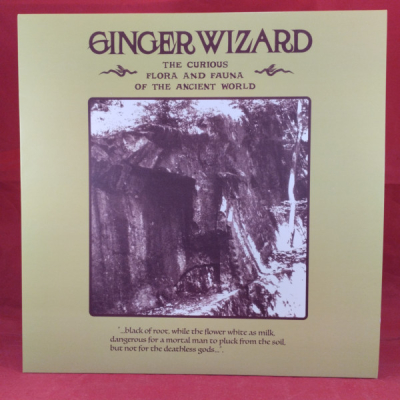 Obrázek pro Wizard Ginger - Curious And Fauna and Flora Of The Anciet World