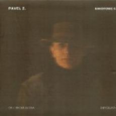 Obrázek pro Zajíček Pavel - Kakofonie cesty