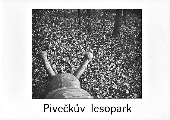 Obrázek pro Zapletalová Veronika - Pivečkův lesopark