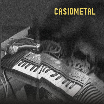 Obrázek pro Zimní pneu - Casiometal (MC)